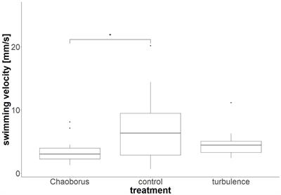 Specific Turbulence- and Chaoborus-Induced Morphotypes Affect the Streamlining Properties of Daphnia cucullata